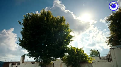 Chicos de Barrio // Capítulo 08