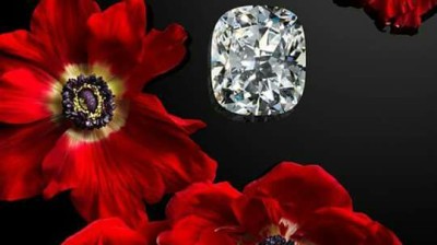 Chinese Man ( artichaut ) , تشايناز مان ( أرتيشو )