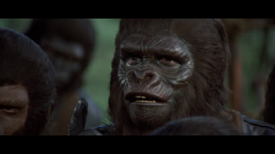 La Bataille de la planète des singes. vf