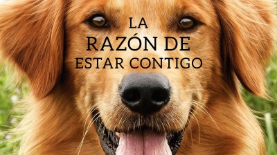 La Razón de Estar Contigo ⪼『Gigi♡』