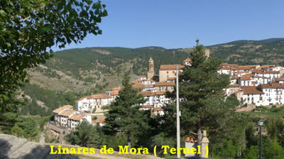 CANDIDATOS DEL PP EN LINARES DE MORA