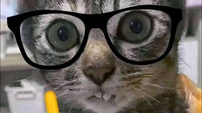 Jujutsu kaisen temporada 1 capitulo 04