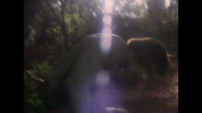 2x14 - L'homme mystère (1).