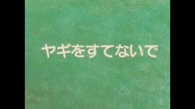 Flo la piccola Robinson - Ep 46 - Vietato l’ingresso agli animali