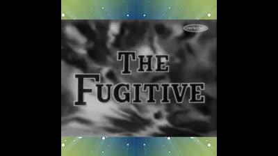 Le Fugitif (série télévisée, 1963)