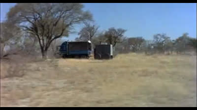 Les dieux sont tombés sur la tête 2