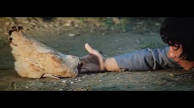 A Saga do Dragão Jackie Chan